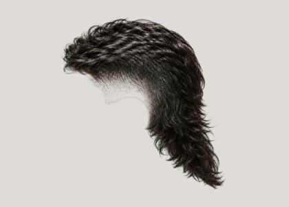 Modern Mullet